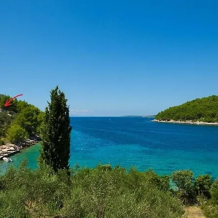 House Vers * 尼亚卢卡